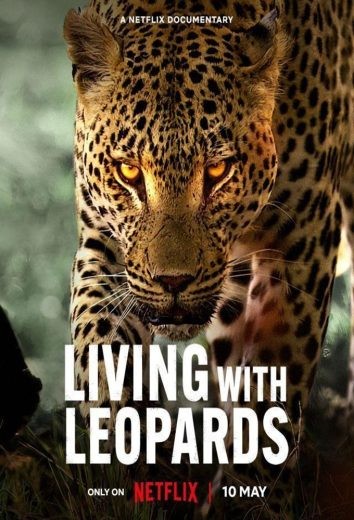 مشاهدة فيلم Living with Leopards 2024 مترجم مشاهدة فيلم Living with Leopards 2024 مترجم