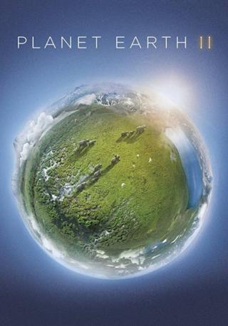 مسلسل Planet Earth II مسلسل Planet Earth II
