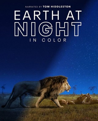 مسلسل Earth at Night in Color مترجم مسلسل Earth at Night in Color مترجم