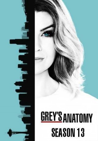 مسلسل Grey's Anatomy مترجم - مسلسل Greys Anatomy الموسم الثالث عشر