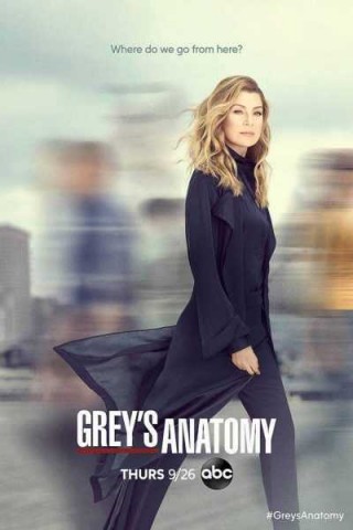 مسلسل Grey's Anatomy مترجم - مسلسل Grey’s Anatomy الموسم السادس عشر