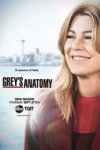 مسلسل Grey's Anatomy مترجم - مسلسل Greys Anatomy الموسم الخامس عشر