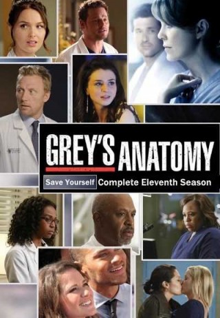 مسلسل Grey's Anatomy مترجم - مسلسل Greys Anatomy الموسم الحادى عشر
