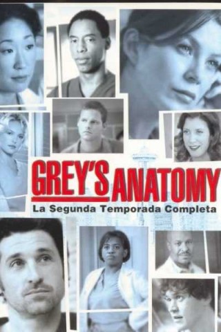 مسلسل Grey's Anatomy مترجم - مسلسل Greys Anatomy - الموسم الثاني