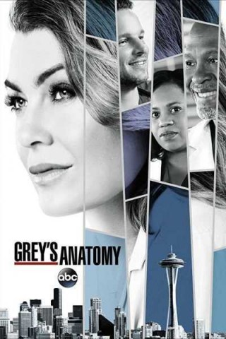 مسلسل Grey's Anatomy مترجم - مسلسل Greys Anatomy الموسم الرابع عشر
